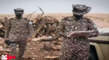 الأمن البيئي يطيح بمخالف في عسير بحوزته 3 أمتار من الحطب المحلي
